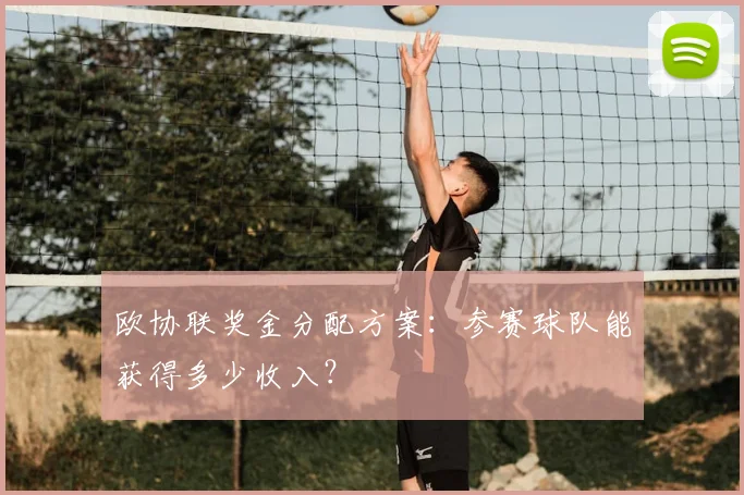 欧协联奖金分配方案：参赛球队能获得多少收入？
