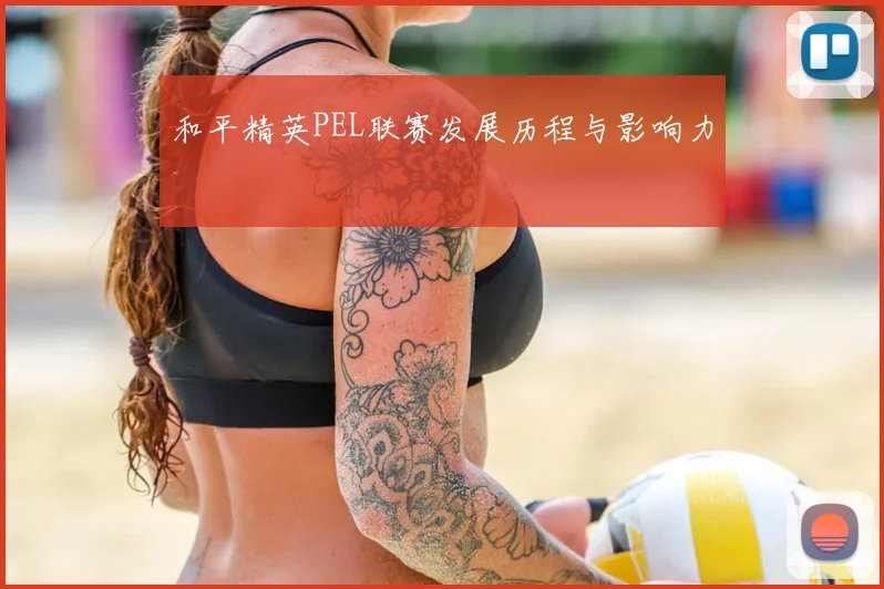 和平精英PEL联赛发展历程与影响力