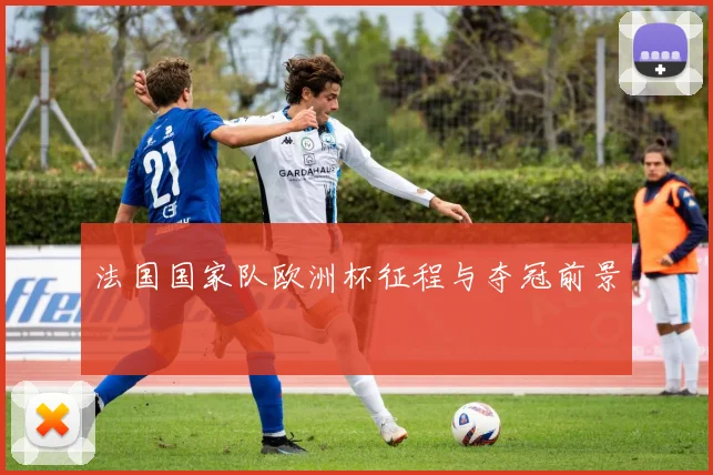 法国国家队欧洲杯征程与夺冠前景